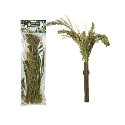 Back Zoo Nature Millet Panicum