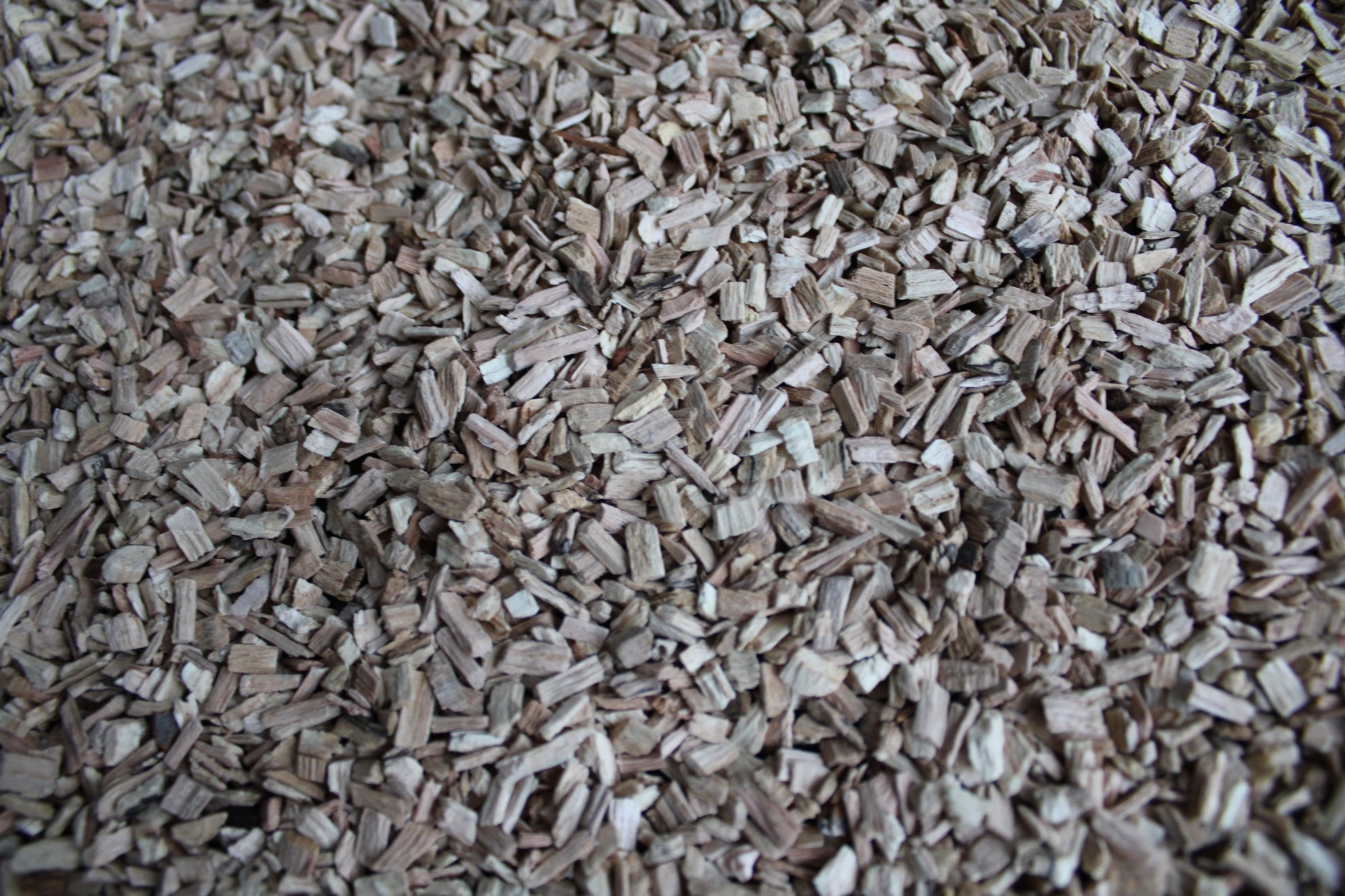 Beukensnippers Bodembedekking voor Grasparkieten - Fijn -  5 KG - Inhoud