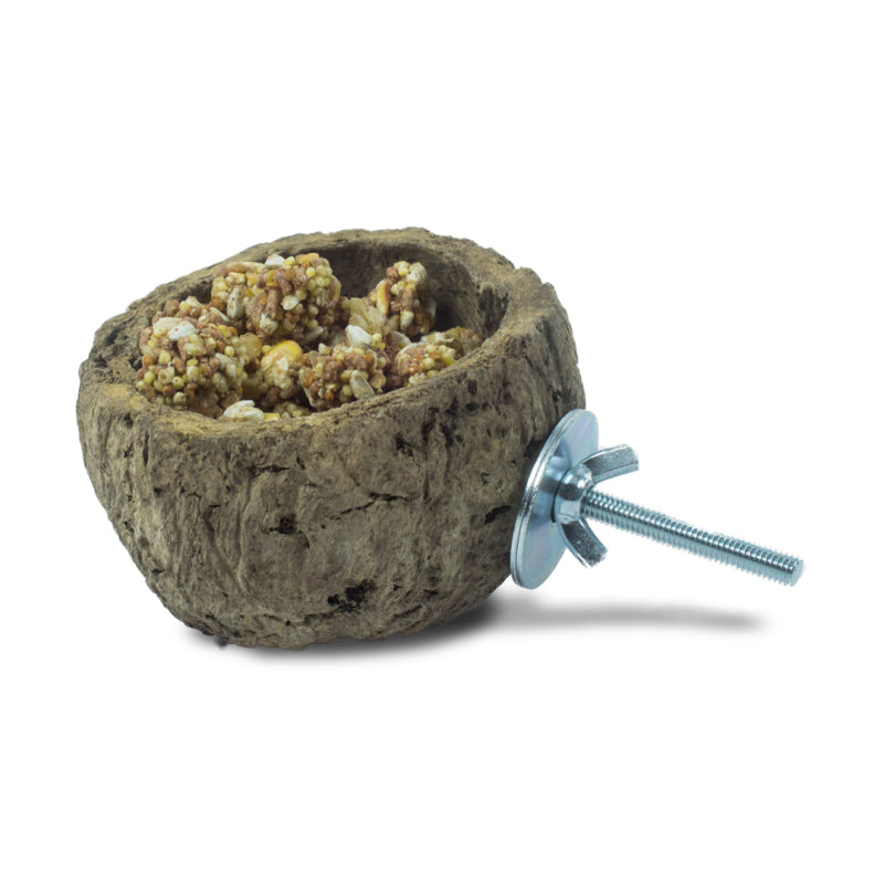 Discovery Bowl Back Zoo Nature 10 cm - Bevestigd