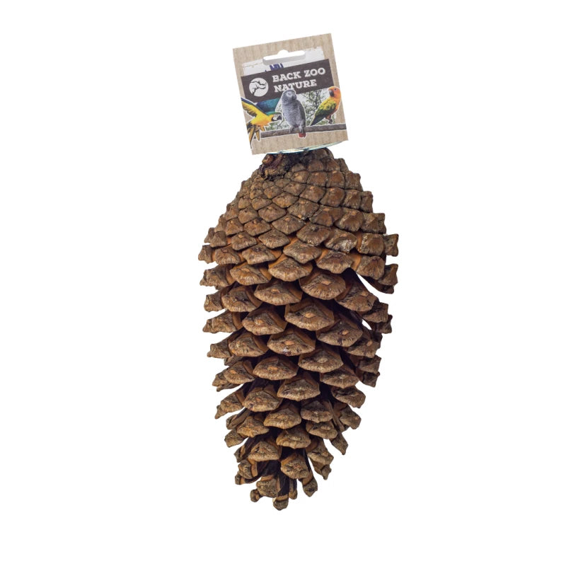 Foerageerspeelgoed Pine Cone Back Zoo Nature 15-20 cm -2
