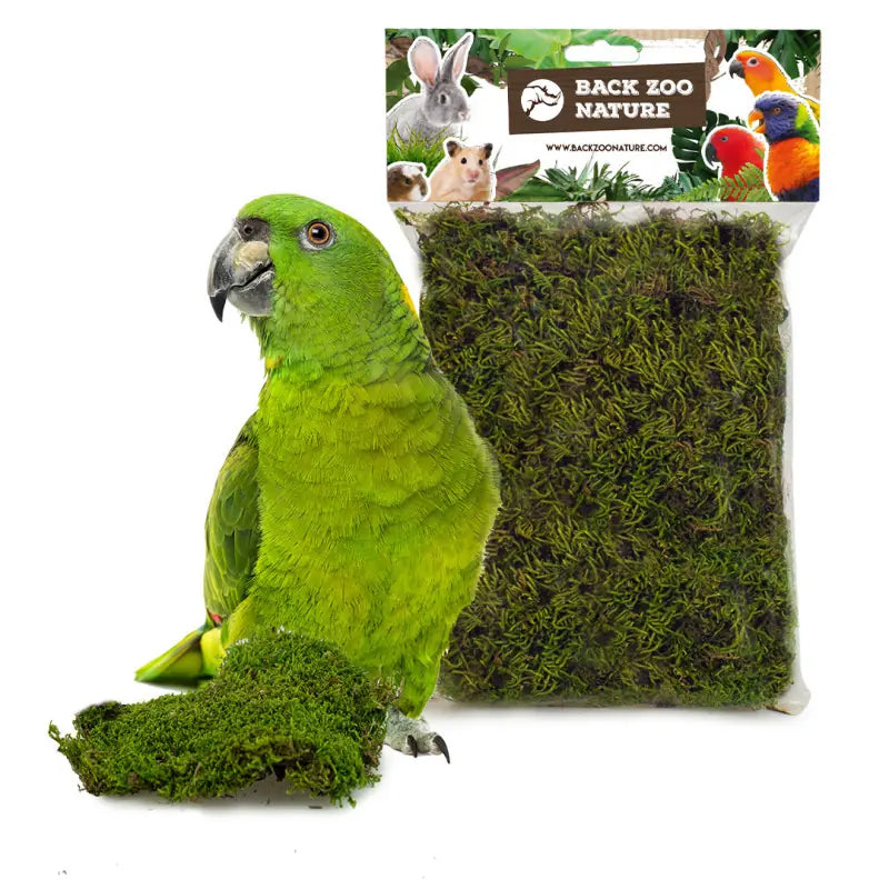 Forest Moss Back Zoo Nature 70 gr - Sfeer