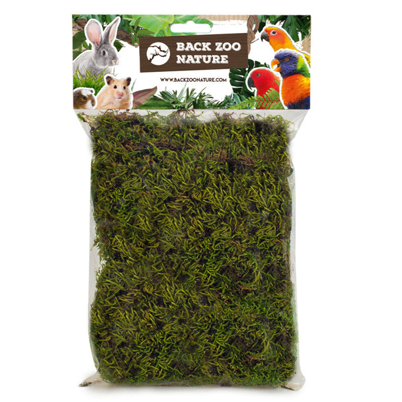 Forest Moss Back Zoo Nature 70 gr