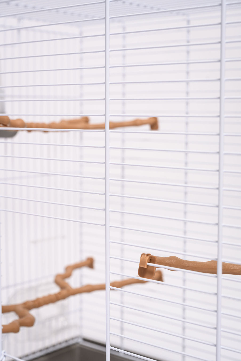 Grasparkieten Kooi Carlotta Imac Tralies