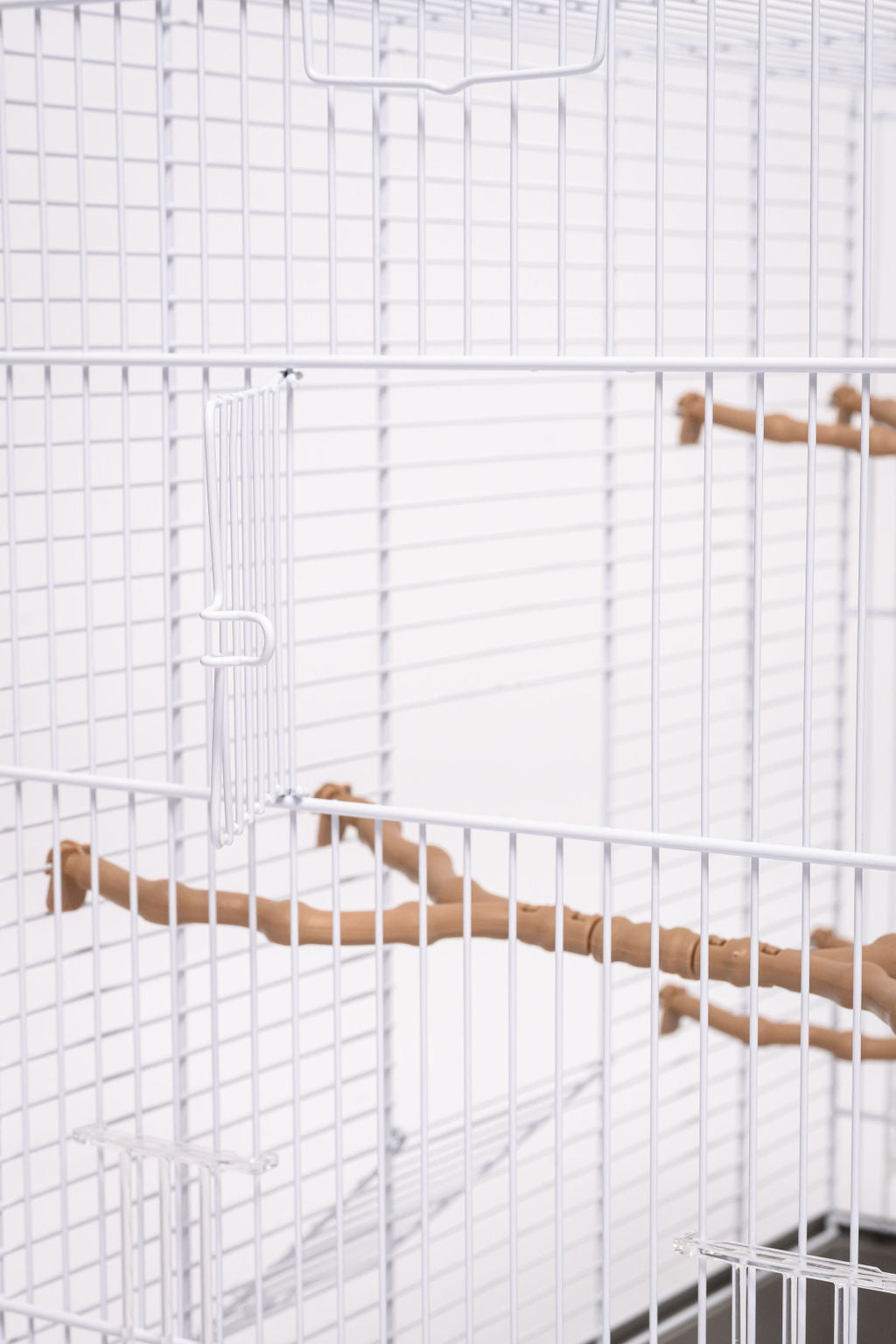 Grasparkieten Kooi Carlotta Imac Zijdeur