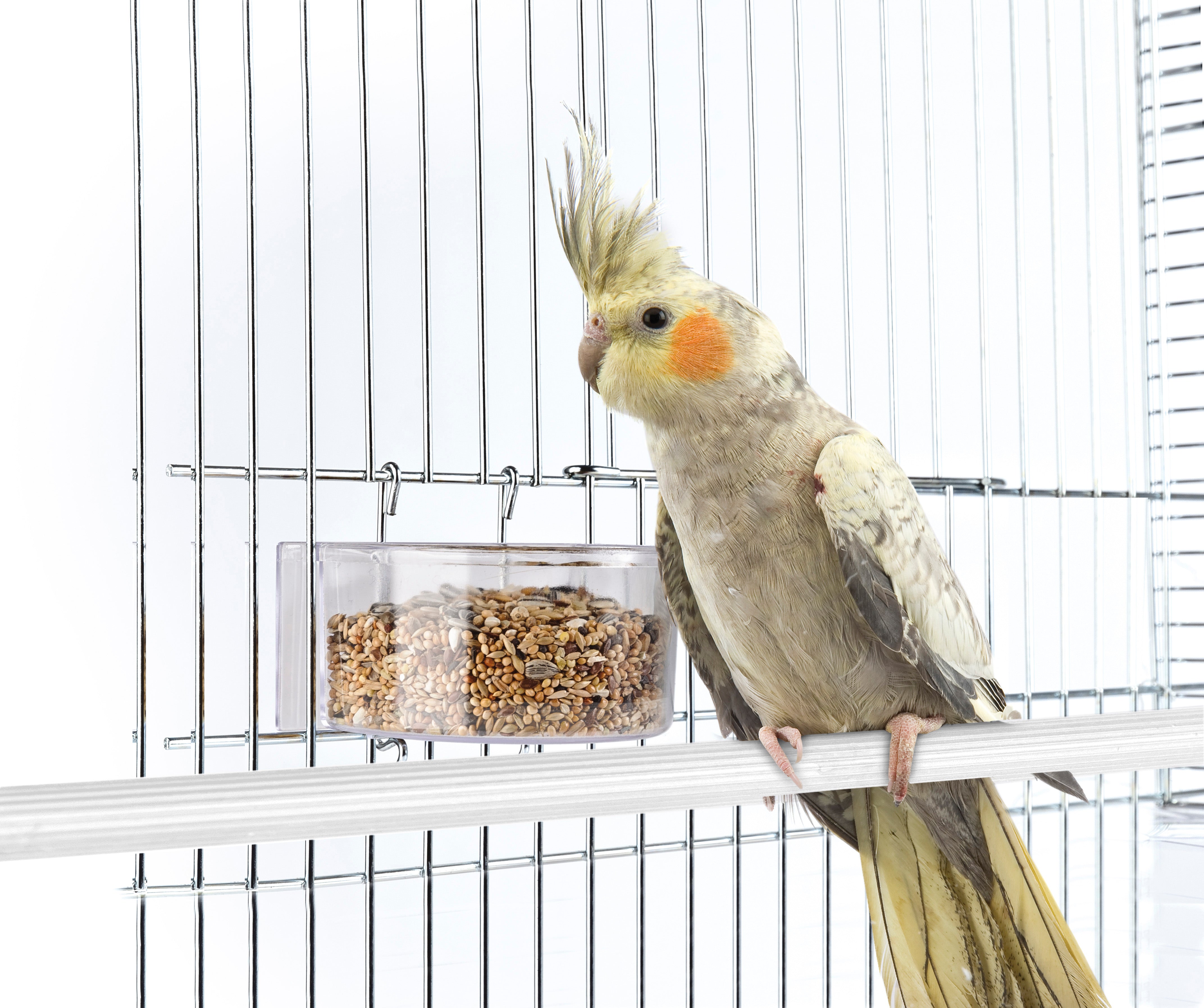 Voerbak Valk & Grasparkiet | Imac | Kunststof | 11,5X7X4,5CM