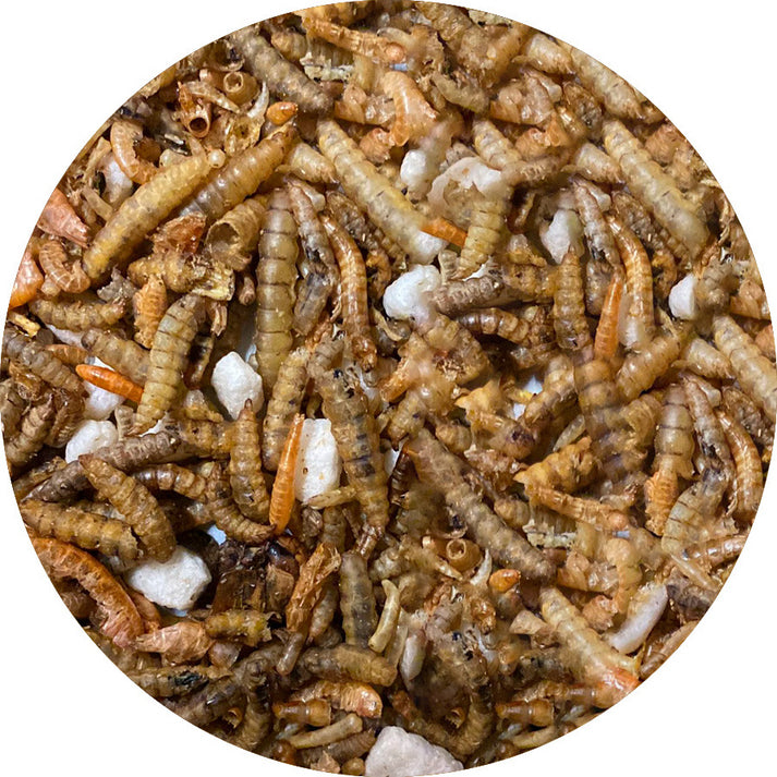 Insectenmix Utopia 35 of 500GR - Inhoud