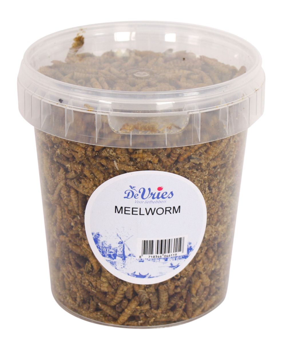 Meelworm Black Soldier Fly De Vries 120 GR