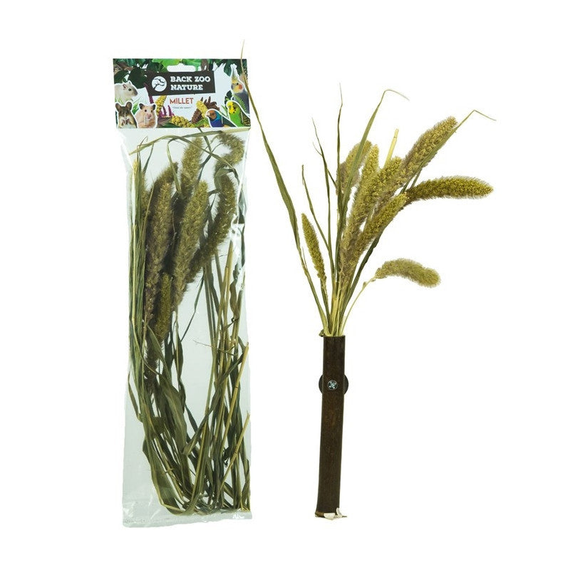 Millet Setaria Back Zoo Nature 30GR - 3
