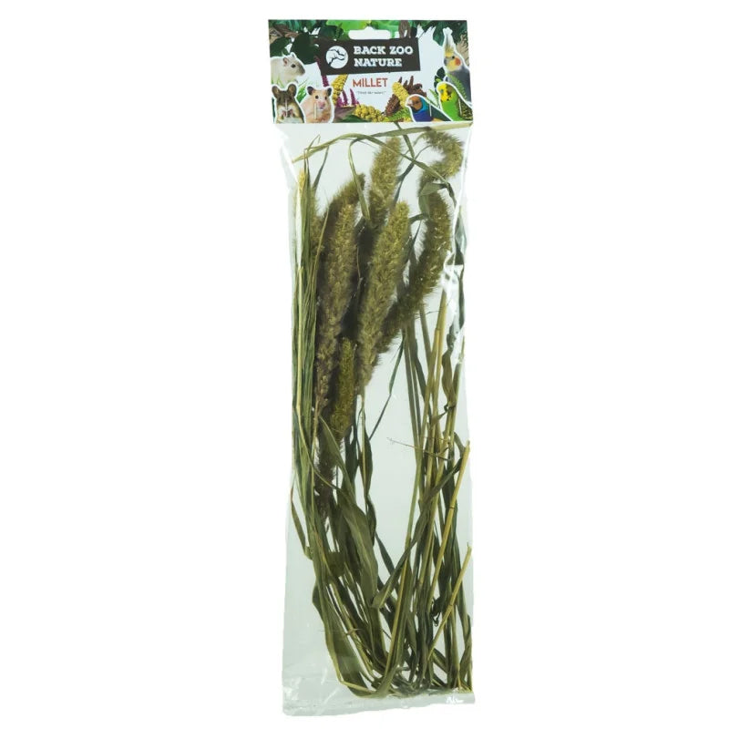 Millet Setaria Back Zoo Nature 30GR