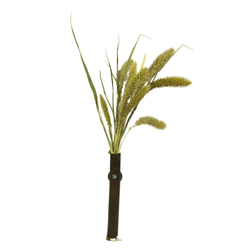 Millet Setaria Back Zoo Nature 30GR - 2