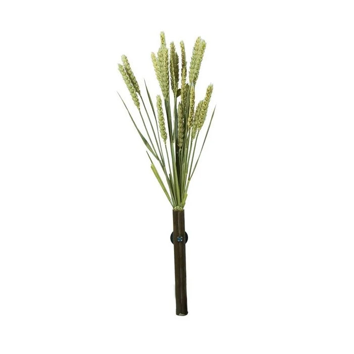Millet Tarwe Back Zoo Nature 50 gr -2
