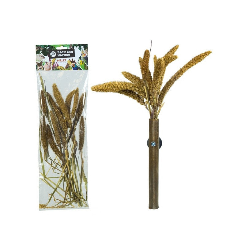 Setaria Italica Back Zoo Nature Millet 50 GR - Houder + Verpakking