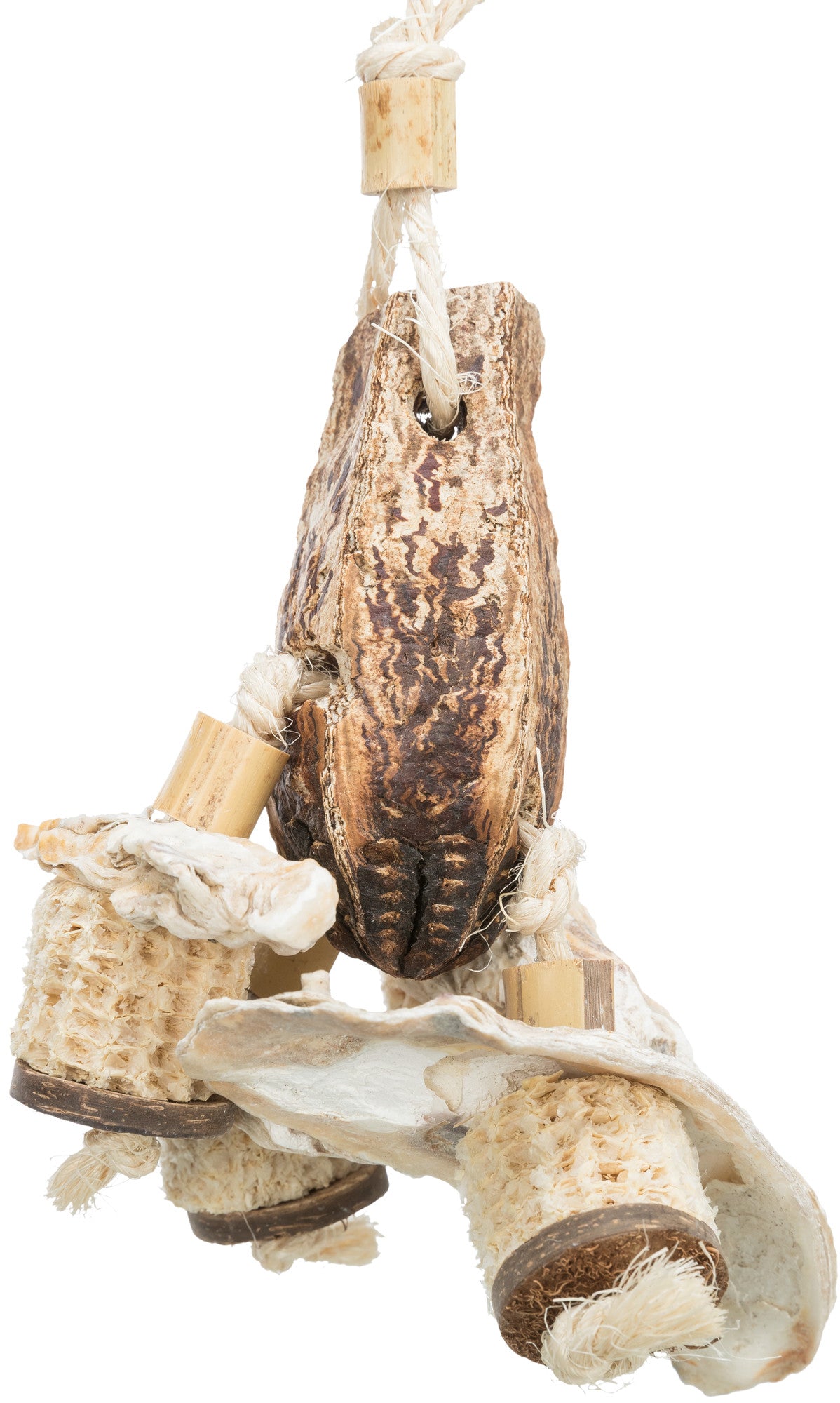 Valk & Grasparkieten Speelgoed | Trixie | Mahonie & Schelpen | 26CM