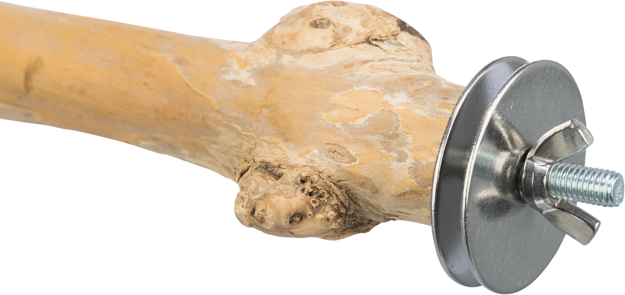 Trixie | Zitstok voor Grasparkieten | Koffiehout | 20 CM | DIA 2-3 CM - Detail bevestiging