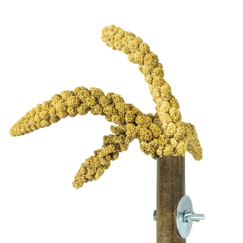 Trosgiersthouder 'Grass Keeper' Back Zoo Nature Bamboe 20X3 cm - Trosgierst