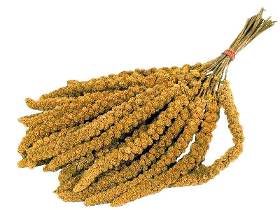 Trosgierst voor grasparkieten - 15 KG