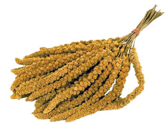 Trosgierst voor grasparkieten - 15 KG
