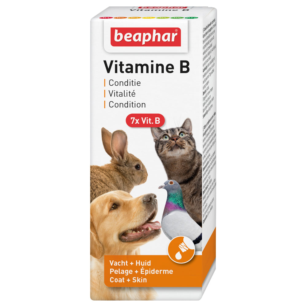 Vitamine B voor Vogels Beaphar 50 ML
