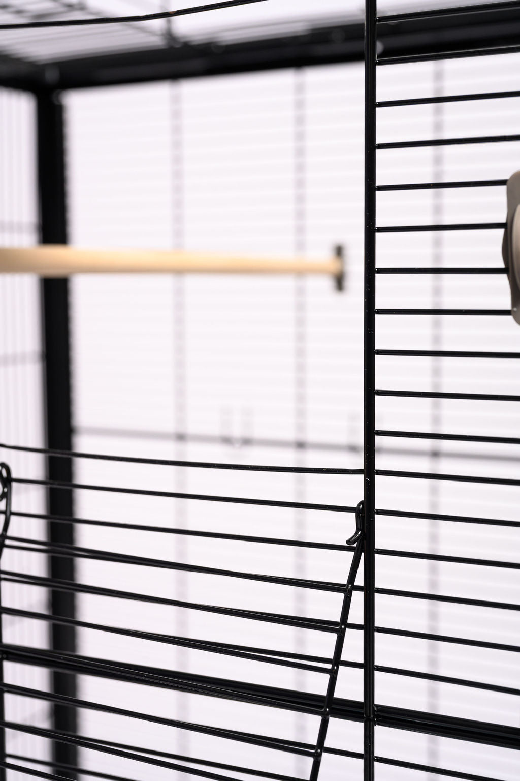 Vogelkooi Primo 60 Open Empire Savic Voordeur