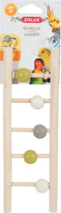 Zolux | Houten Ladder Met 5 Treden en Kralen | 1X7X23,5 CM