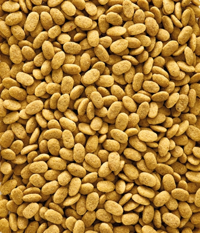 Nutribird P15 Original Papegaai | Versele-Laga | 1, 3 of 10 KG