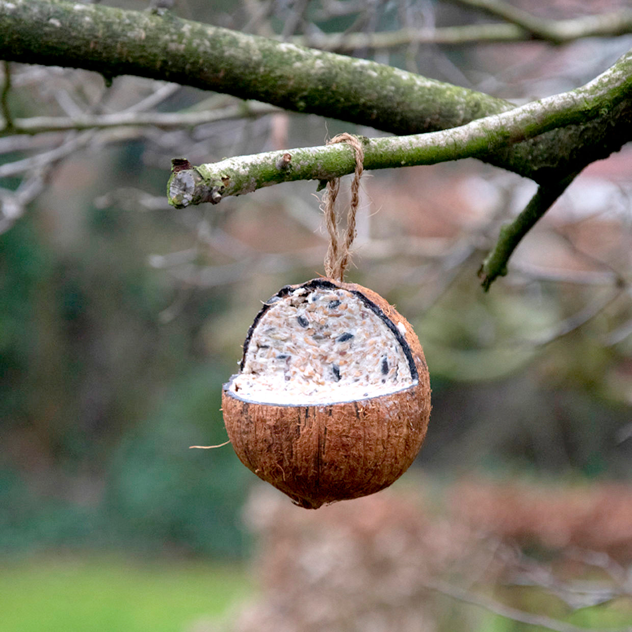 Best For Birds Kokosnoot Gevuld Met Vet