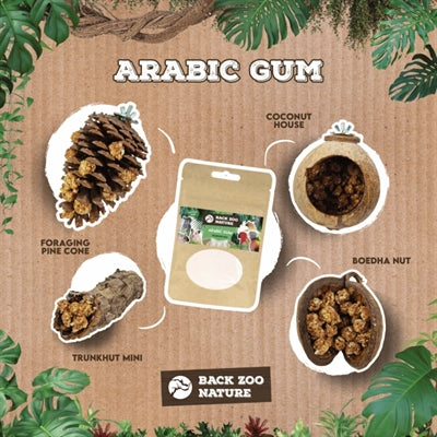 Back Zoo Nature Arabic Gum