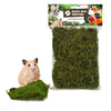 Back Zoo Nature Forest Moss