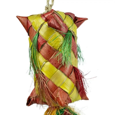 Back Zoo Nature Carnival Pinata