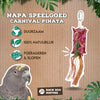 Back Zoo Nature Carnival Pinata