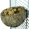 Discovery Bowl Back Zoo Nature 10 cm - Inhoud