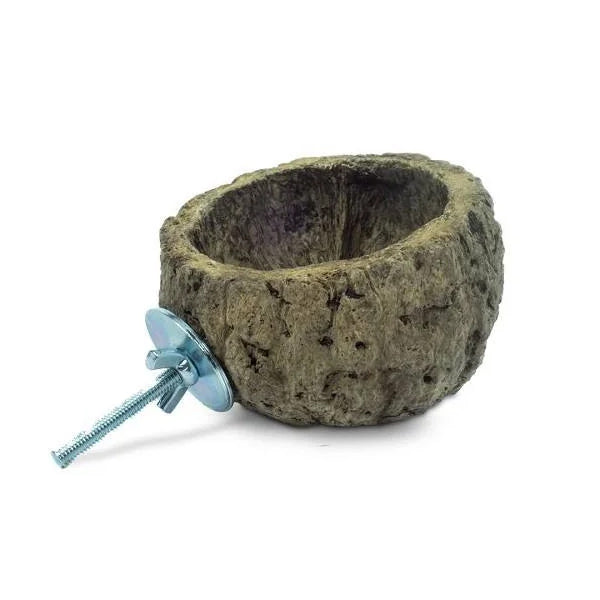 Discovery Bowl Back Zoo Nature10 cm