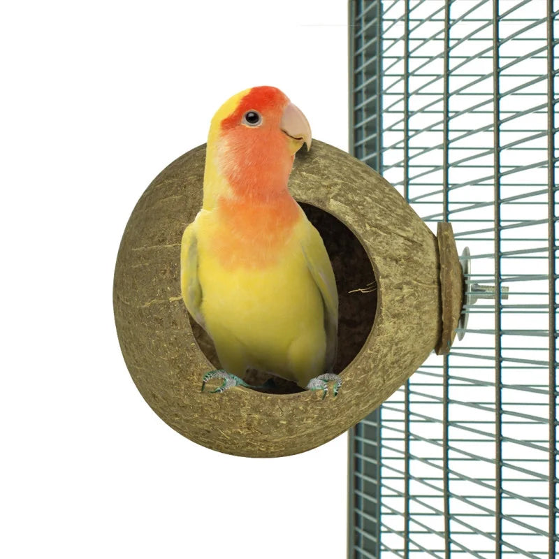 Foerageerspeelgoed Coconut House Back Zoo Nature 9,5 cm - Sfeer 2