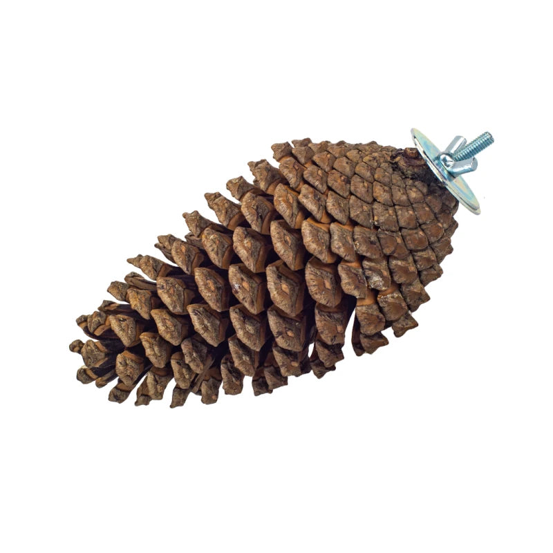 Foerageerspeelgoed Pine Cone Back Zoo Nature 15-20 cm -1