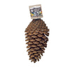 Foerageerspeelgoed Pine Cone Back Zoo Nature 15-20 cm -2