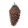 Foerageerspeelgoed Pine Cone | Back Zoo Nature | 15-20 cm