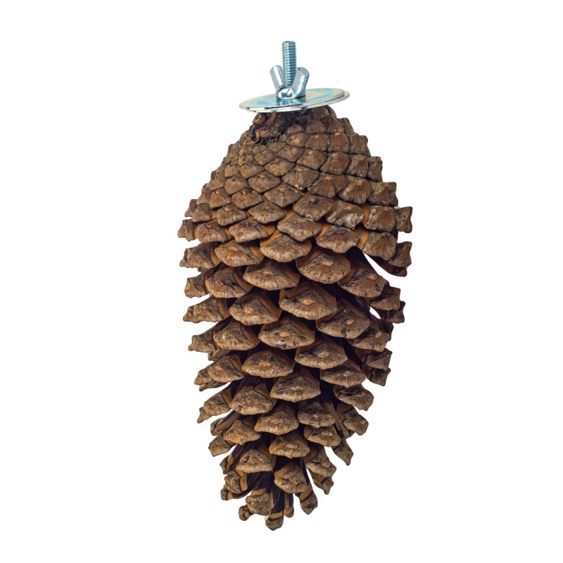 Foerageerspeelgoed Pine Cone | Back Zoo Nature | 15-20 cm