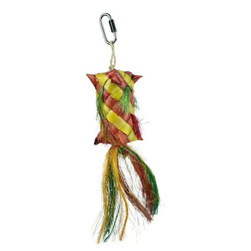 Foerageerspeelgoed 'Carnival Pinata' Back Zoo Nature 30X5X5 cm - 06