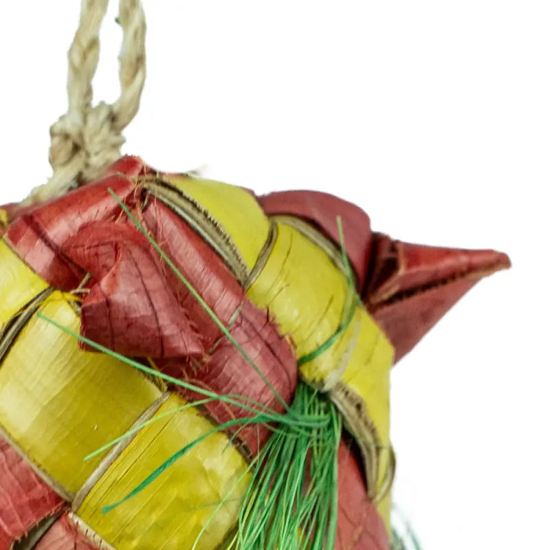 Foerageerspeelgoed 'Carnival Pinata' Back Zoo Nature 30X5X5 cm - 04
