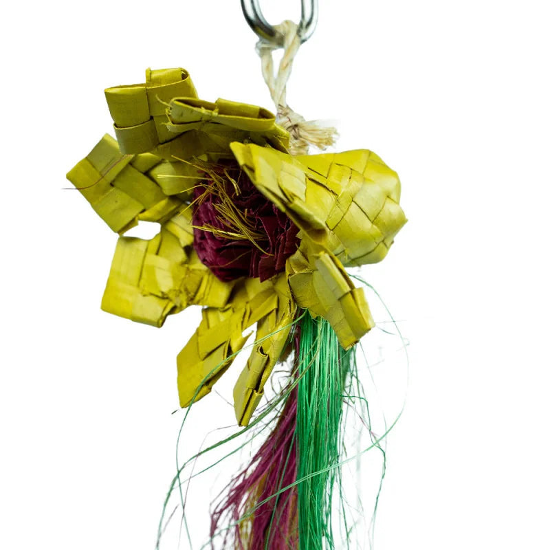 Foerageerspeelgoed 'Sunflower' Back Zoo Nature 20X10X4 cm - Zijkant groen