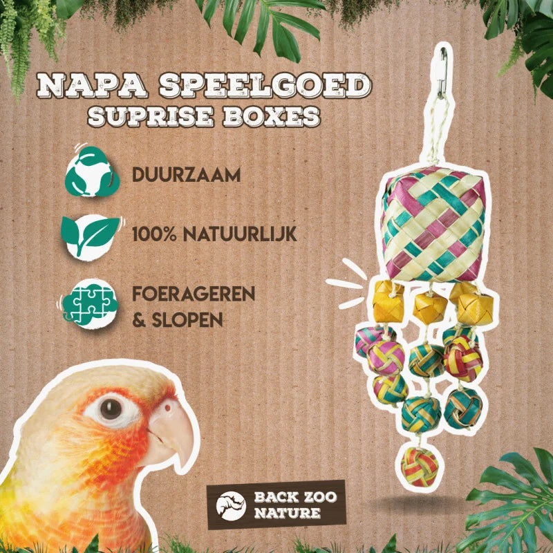 Foerageerspeelgoed 'Surprise Boxes' Back Zoo Nature 30X8X8 cm- Info sheet