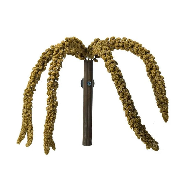 Franse Trosgierst Geel Back Zoo Nature 150 GR- In houder