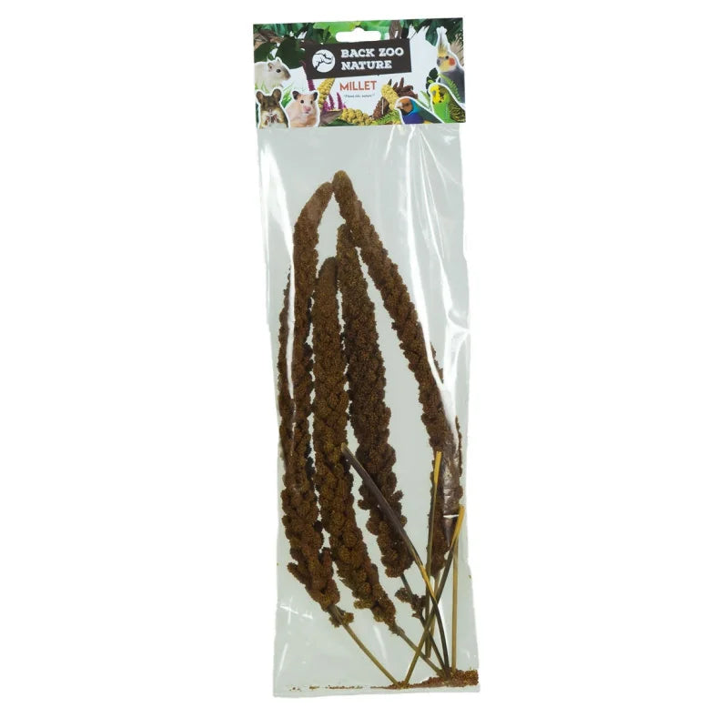 Franse Trosgierst Rood Back Zoo Nature 150 gr