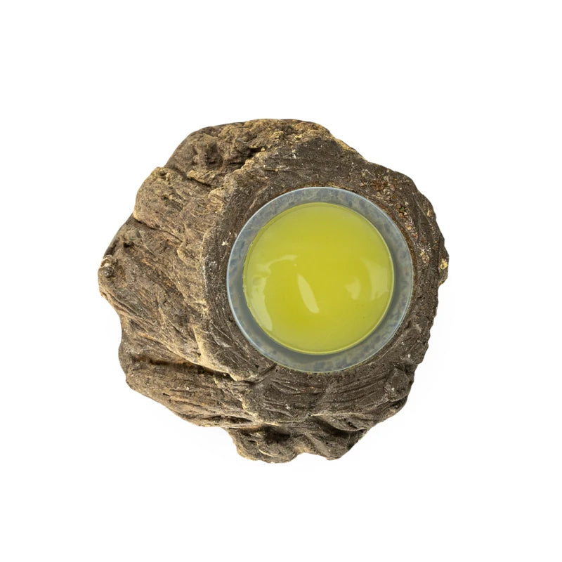 Fruitkuipjes Houder Bark-Look Assorti Back Zoo Nature 5X3 cm - Zij