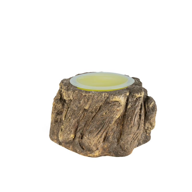 Fruitkuipjes Houder Bark-Look Assorti Back Zoo Nature 5X3 cm