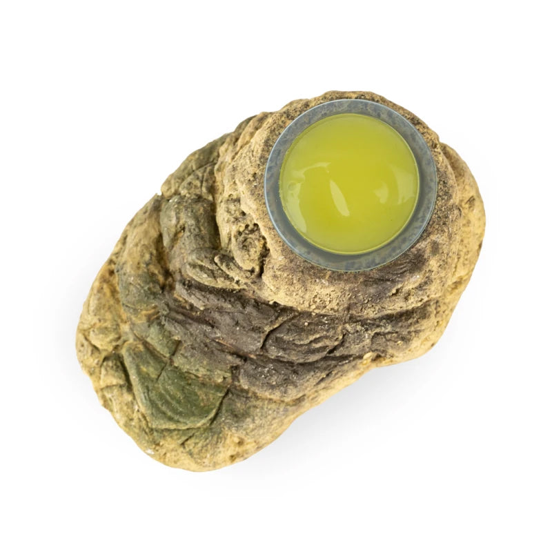 Fruitkuipjes Houder Stone-Look Assorti Back Zoo Nature 10X6X3,5 cm - boven