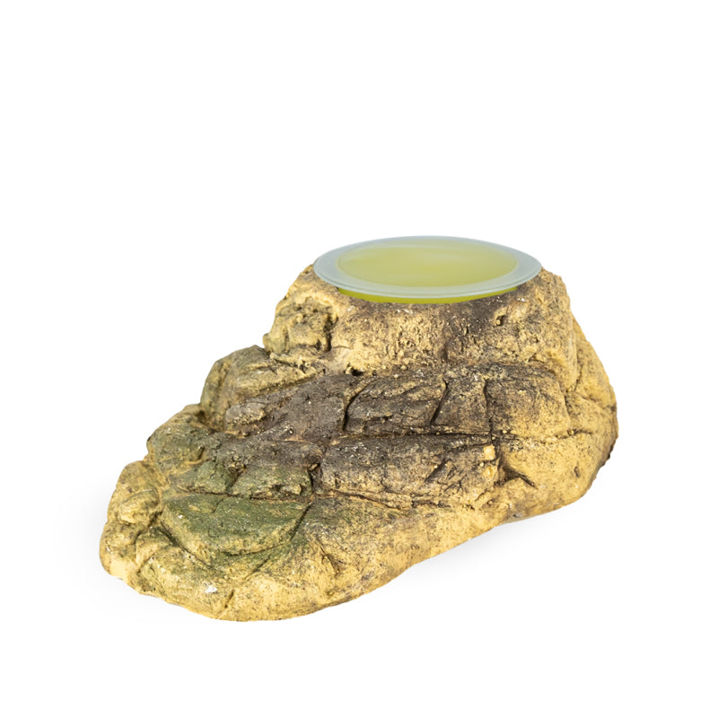 Fruitkuipjes Houder Stone-Look Assorti Back Zoo Nature 10X6X3,5 cm