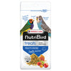 Krachtvoer Treats Frutti Patee Kleine Vogels Nutribird 250 GR