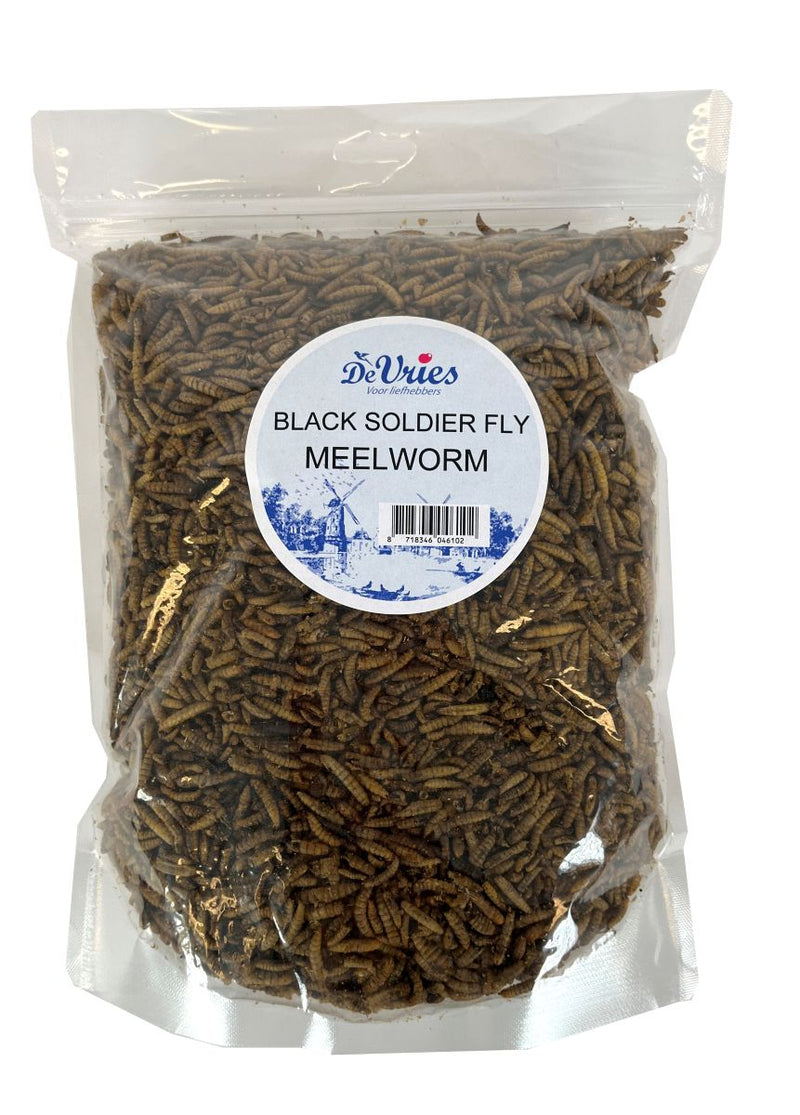 Meelworm Black Soldier Fly De Vries 450 GR