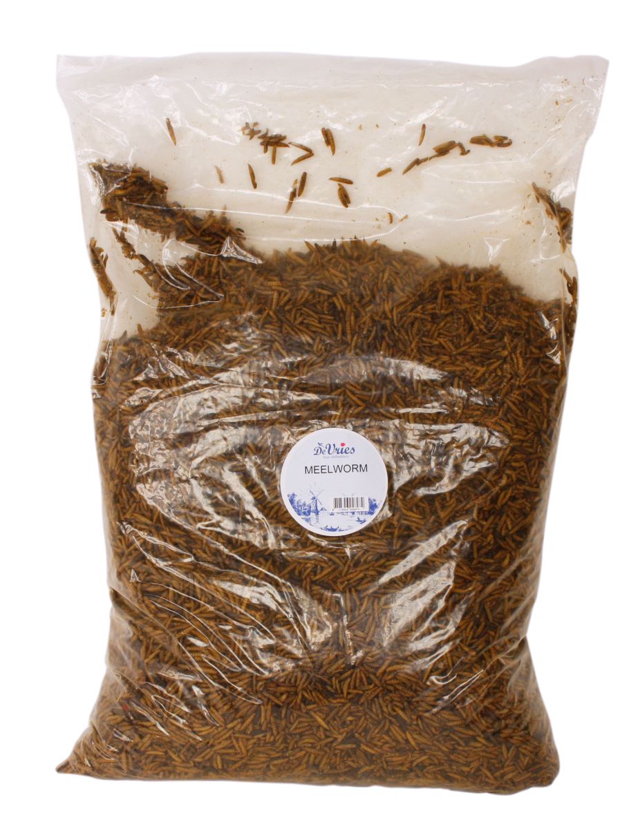 Meelworm Black Soldier Fly De Vries 5 KG